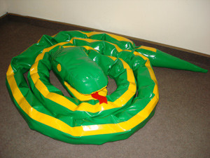 Змійка, фото 1