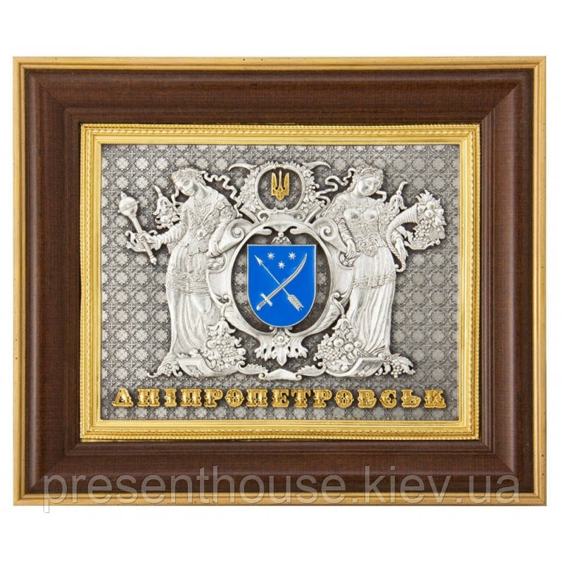 Настінна Підкова Герб Дніпра 230х275 мм, фото 1