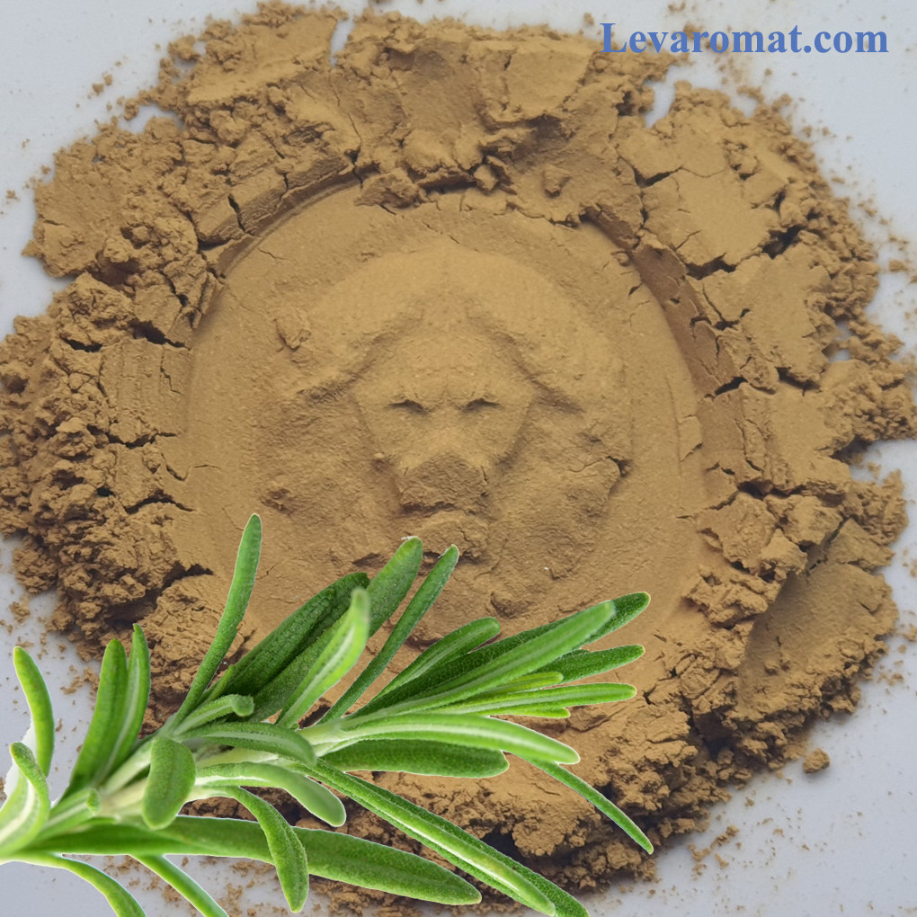 Розмарин Екстракт 1585, фото 1