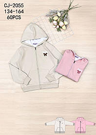 Пайта для дівчат оптом, Sincere, 134-164 см,  № CJ-2055