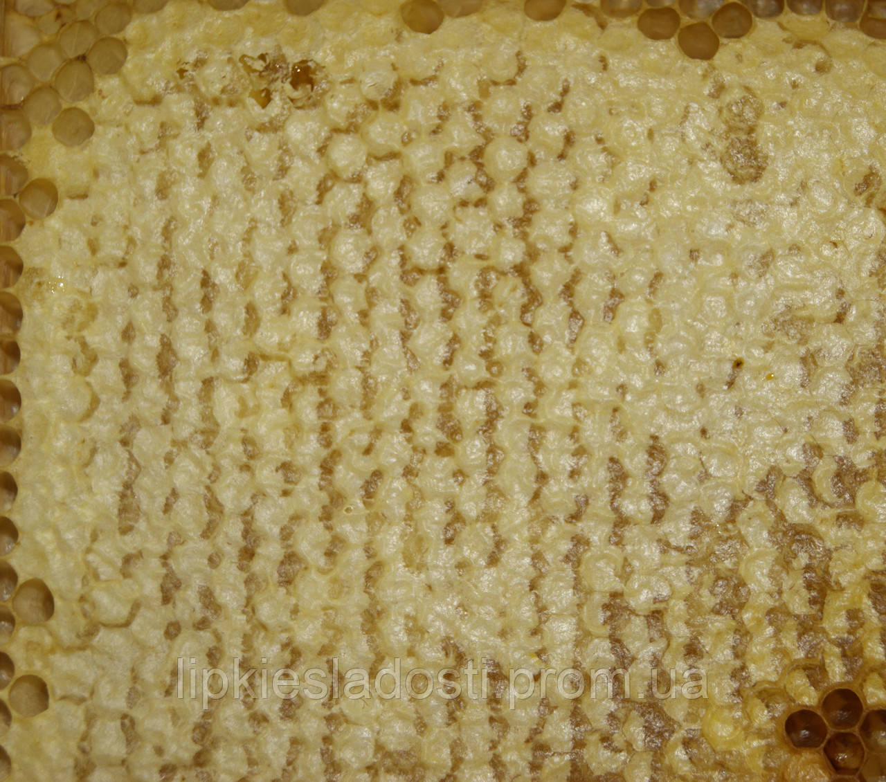 Мед у сотах різнотрав'я 1 кг (зброй 2017 року)