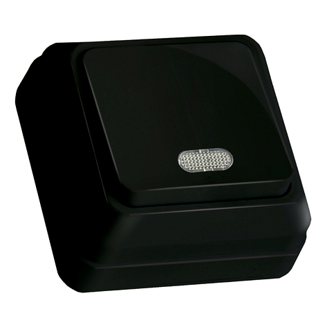 Вимикач 1 кл, 10А, з світл. біл. індикатором (Б), "Julia", чорна, фото 1