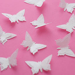 Вафельний декор Slado Метелики 3d 10 шт