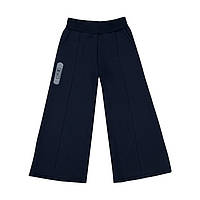 Штани дитячі для дівчинки Gabbi BR-24-14 тринитка начіс зима р.104 синій темний