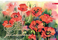 Альбом для рисования А4 24 листа, картон Аляска, скоба Фолдер