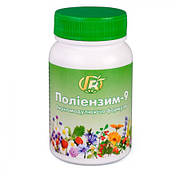 Медова композиція Грін Віза Поліензим - 9 Імунномодулююча формула 280 г