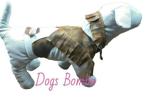 ПРЕДЛОЖЕНИЕ НЕДЕЛИ