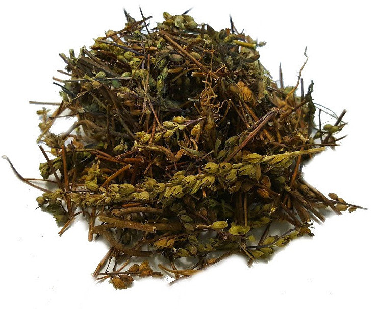 Очанка лікарська, трава 100 грамів — (herba Euphrasia officinalis)