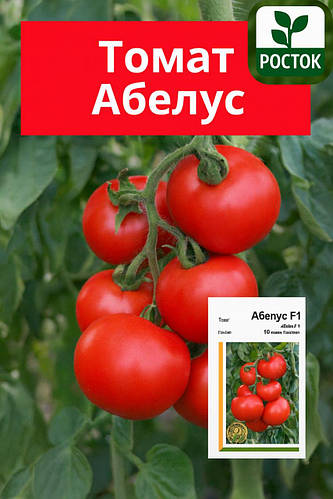ТОП-4 Томат Абелус F1