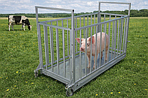 Ваги для зважування тварин (худоби) Техноваги