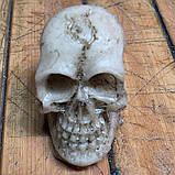 Череп 3D міні 20х18х12мм Сувенір. Тяжка тверда фотополімерна смола, фото 2