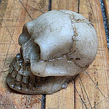 Череп 3D міні 20х18х12мм Сувенір. Тяжка тверда фотополімерна смола, фото 3