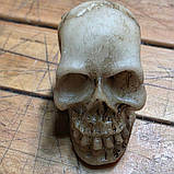 Череп 3D міні 20х18х12мм Сувенір. Тяжка тверда фотополімерна смола, фото 5