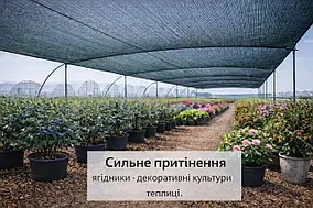 Затіняюча сітка від сонця 80%, 4×50 м, зелена