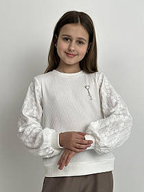 Кофта для дівчат, 128-146 см,  № 002241