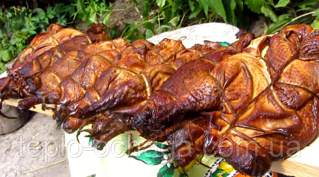 купить коптильню