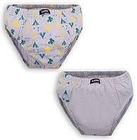 Труси дитячі для хлопчика Gabbi TRM-20-17 (2 шт) р. 36 сірий/набивний