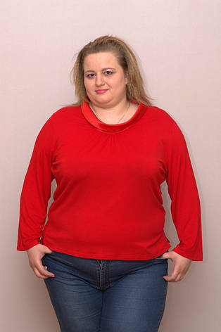 Блуза жіноча великих розмірів, котонова стрейчева NATALI, Туреччина, фото 2