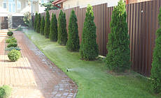 Система поливу та крапельне зрошення у Погребах 9