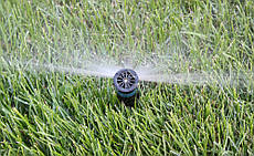 Система поливу та крапельне зрошення у Погребах 14