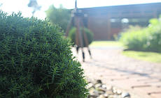 Система поливу та крапельне зрошення у Погребах 1