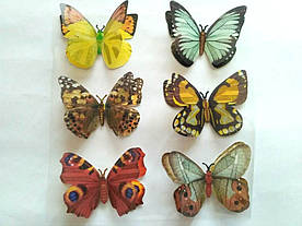 Декоративні метелики на липучці 6шт великі