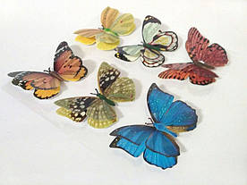 Бабочки декоративные на липучке 6шт большие