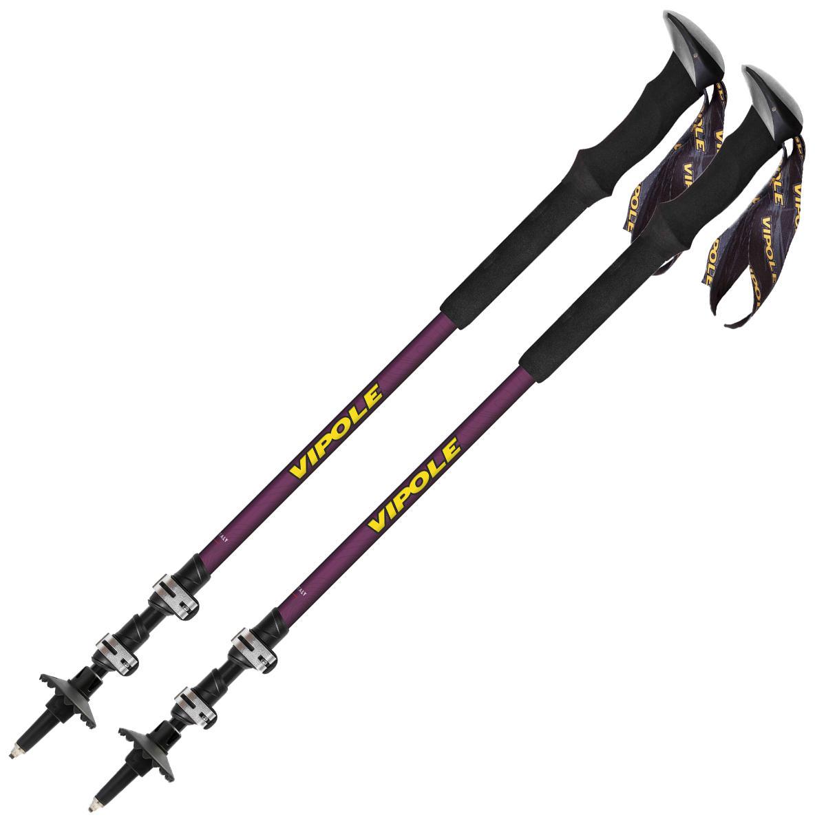 Палиці трекінгові Vipole Base Camp Violet DLX (S25 08), фото 1