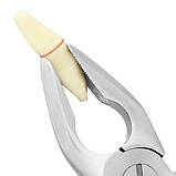 Набір щипців хірургічних для видалення зубів Blade Beaks, Medesy 2400/SET, фото 2
