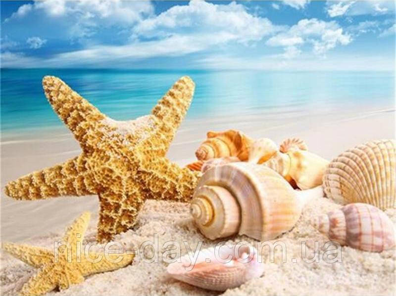 Картина для малювання камінням Алмазна вишивка "Море мушлі, морська зірка" 25 на 35 см, фото 1