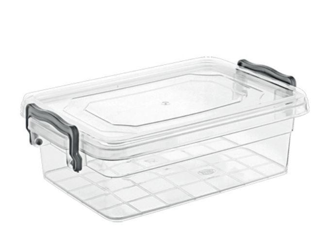 Контейнер Violet House 0458 Family Box, 0.65 л (6768546)