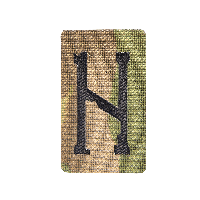 Патч Camotec Руна Хагалаз (3*5) MC