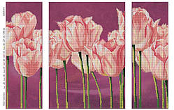 Схема для вишивання бісером DANA Триптих Ніжні тюльпани 411