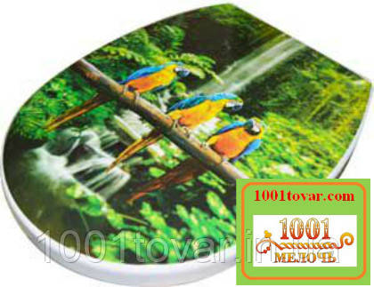 Пластикове сидіння з кришкою для унітазу "Папуги і водоспад", фото 1