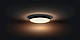 Стельовий світильник Philips Hue White Ambiance Cher Black (929003055601) [103480] - фото 7 - id-p2360262037