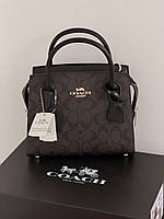 Сумка Coach Anndrea Carryall коричневий