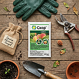 Фунгіцид Скор, 2 мл — захист від грибкових хвороб, фото 2