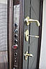 Вхідні металеві двері з ковкою і склом для вулиці "Портала" (Patina Elit) ― модель BIG-16, фото 9