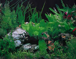 Фон для акваріума односторонній 30 см арт.9003