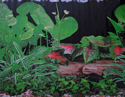 Фон для акваріума односторонній 40 см арт.9011