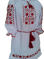 Вишиванка для дівчинки "Ерліт" DU-0011