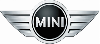 Килимок в багажник Mini