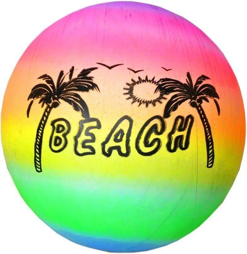 М'яч пальма 22см100 грA5261