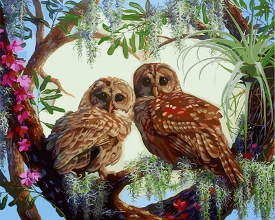 Малювання за номерами "Уважні совята" (VP614) Турбо 40 х 50 см, фото 1