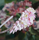 Рожевий обруч для волосся з квітами "Букет біло-рожевих фрезій", фото 4