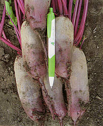 Буряк Карилон 20 грамів