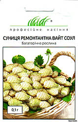 Насіння ремонтантної суниці Вайт Соул 0,1 грама Hem Zaden професійне насіння