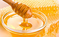Закупка мёда