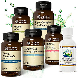 Програма «Шкіра, волосся, нігті» NSP НСП Біологічно Активна Добавка