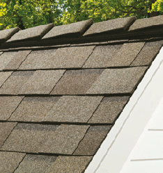 Кісткова черепиця DecoRidge TM Hip&Ridge